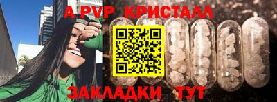 Альфа ПВП Можга