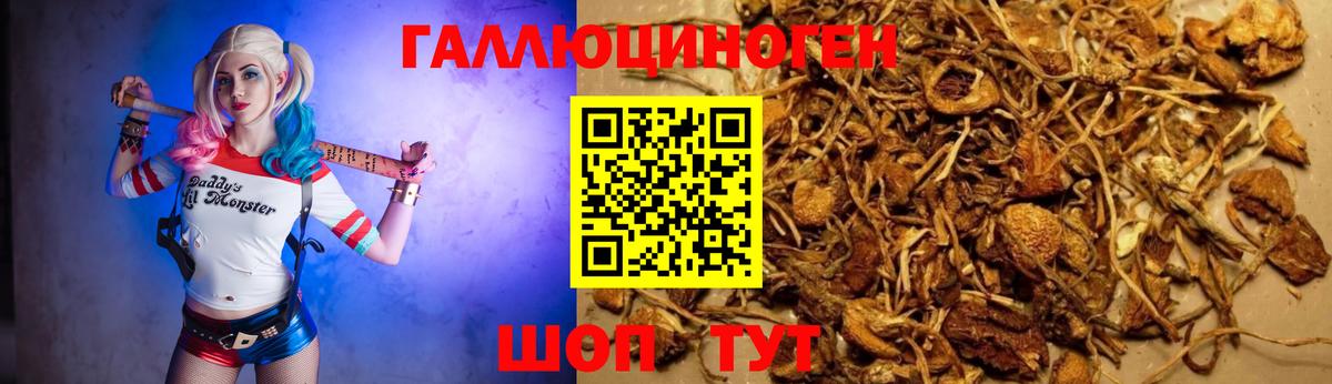 Псилоцибиновые грибы мухоморы Верхняя Салда